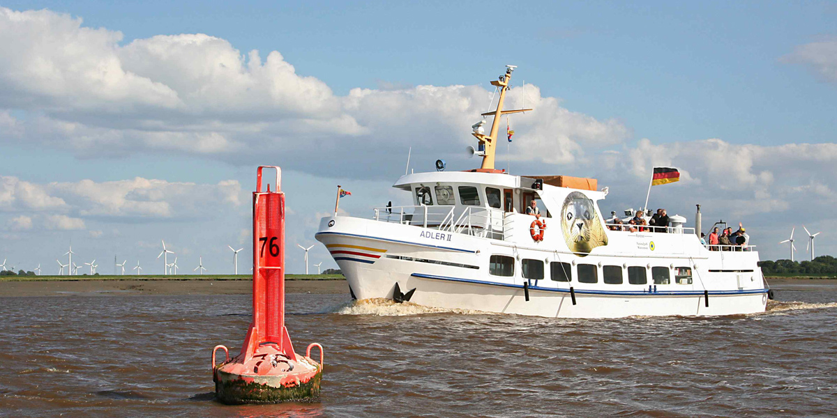 Eiderfahrten zu den Seehunden mit MS Adler II