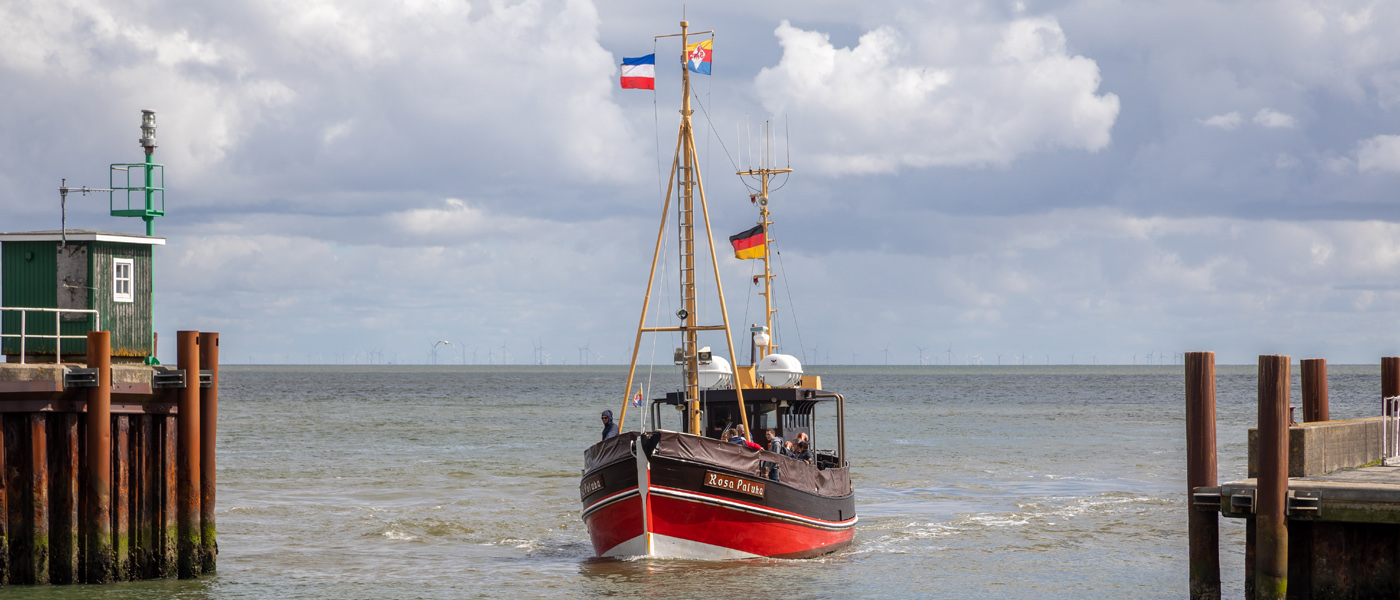Schifffahrten mit Rosa Paluka ab Sylt