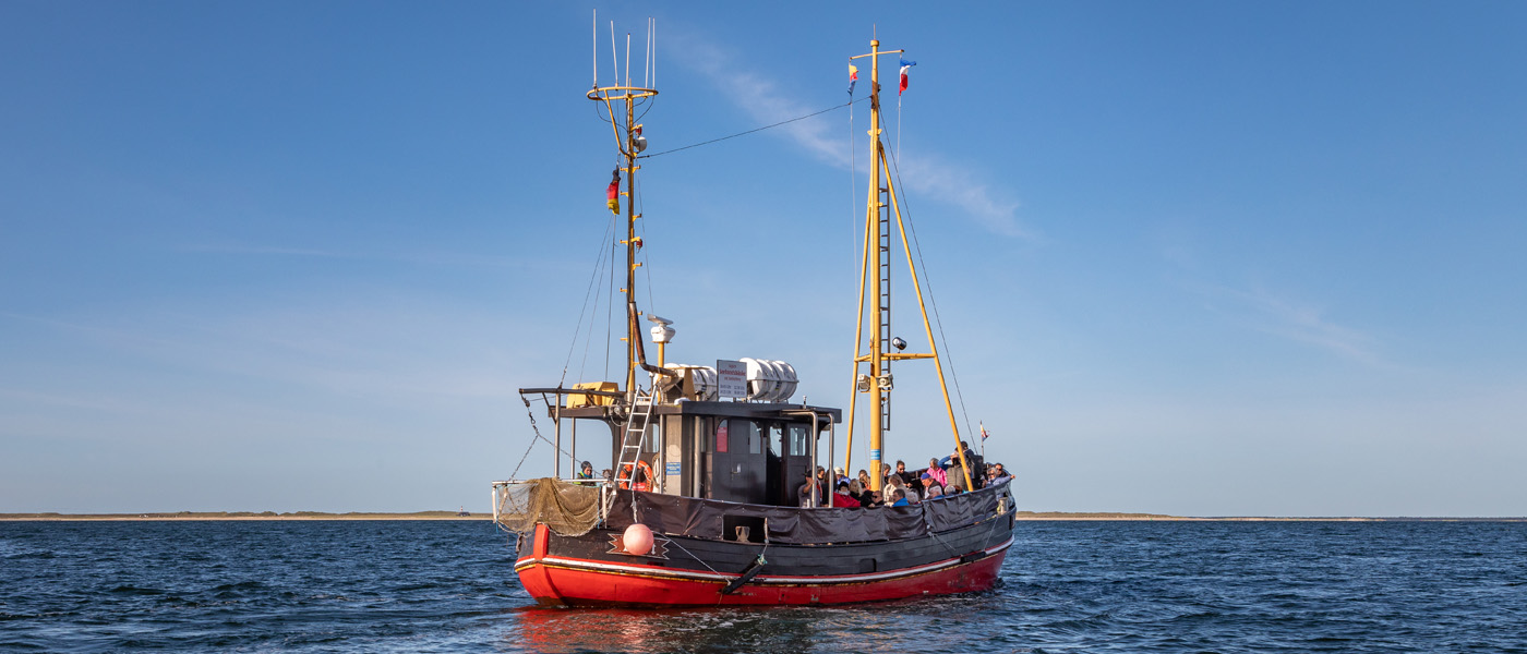 Mit Rosa Paluka zu den Seehunden