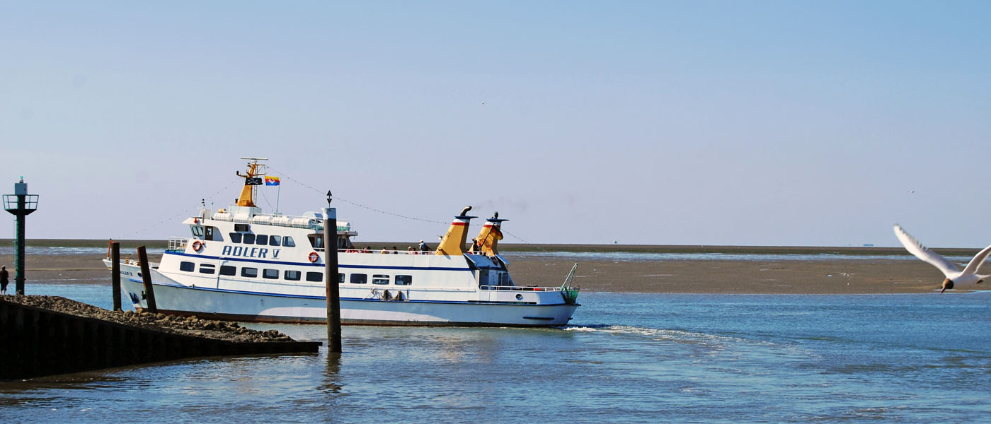 Schifffahrten zu den Halligen ab Nordstrand