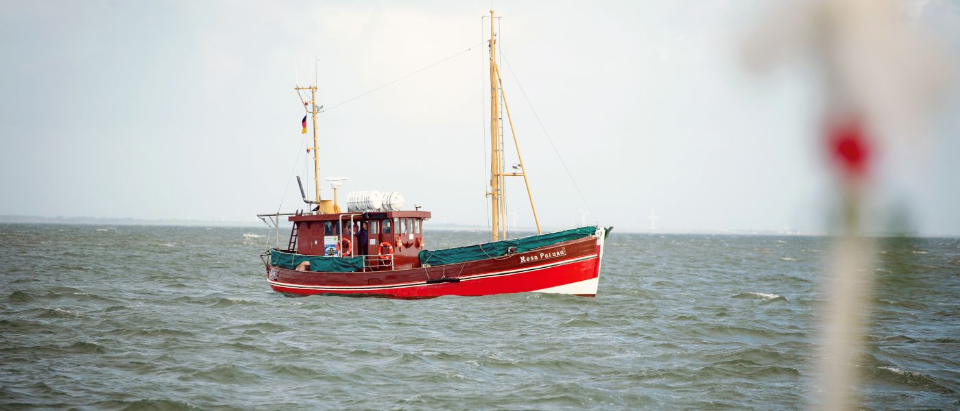 Kutter Rosa Paluka vor Sylt