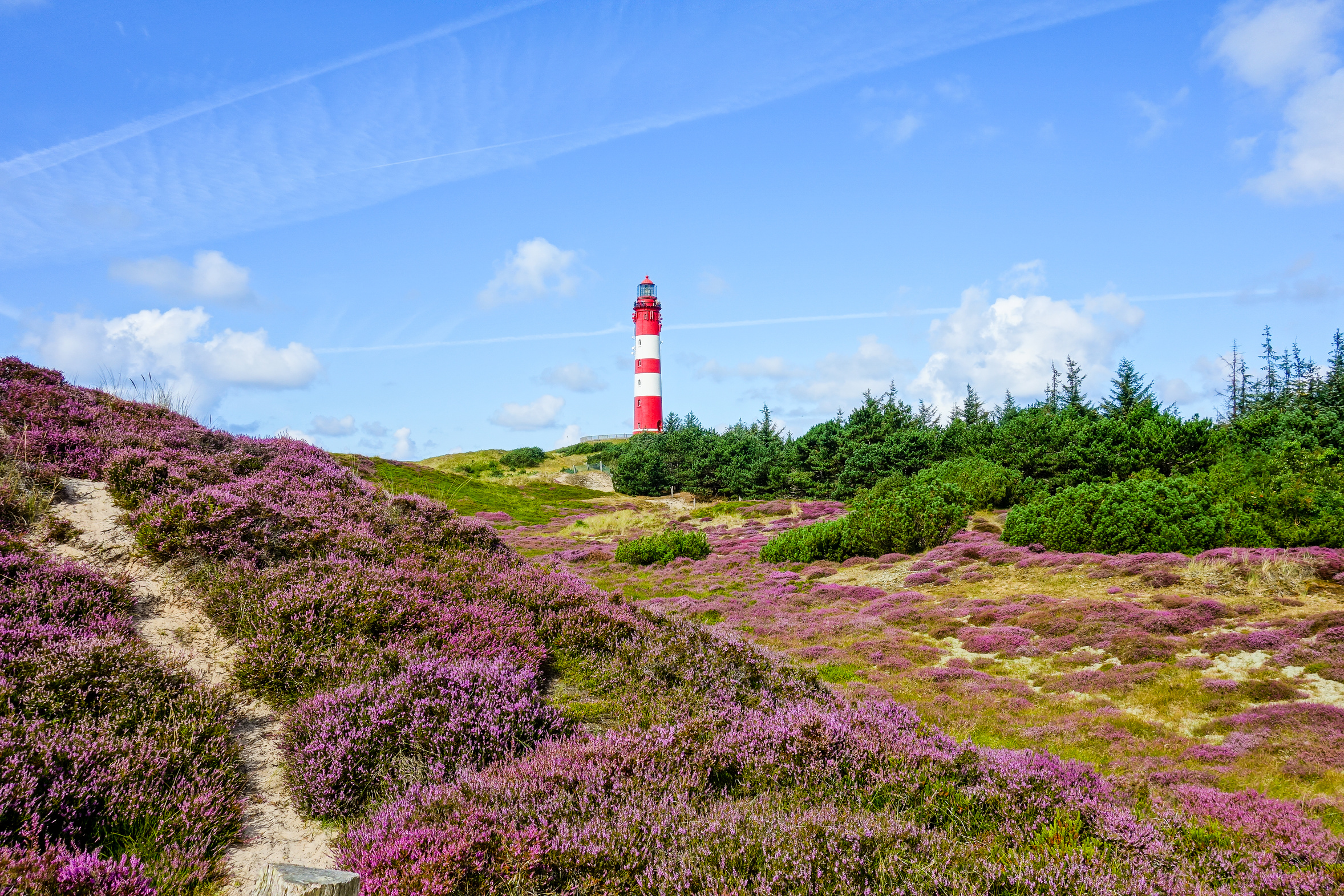 Leuchtturm auf Amrum als Ausflugsziel auf der Nordseeinsel