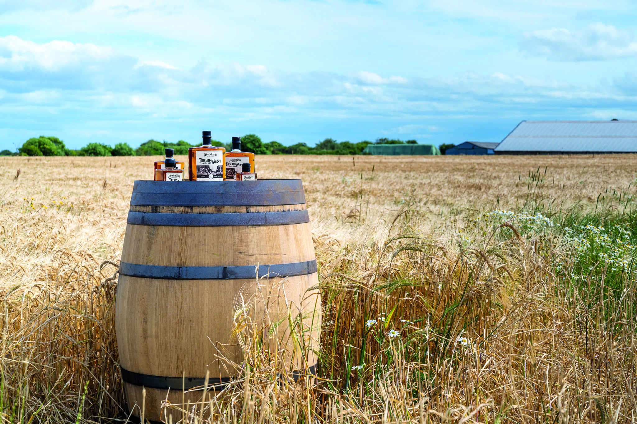Whiskyflaschen von Hinrichsen's Farm auf einem Feld auf Föhr