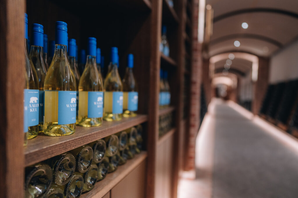 Weingut Waalem auf Föhr mit Weinbau mitten im Wattenmeer