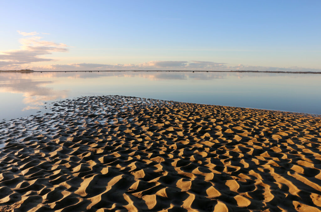 Herbstlicher Blick über das Wattenmeer bei Utersum auf Föhr