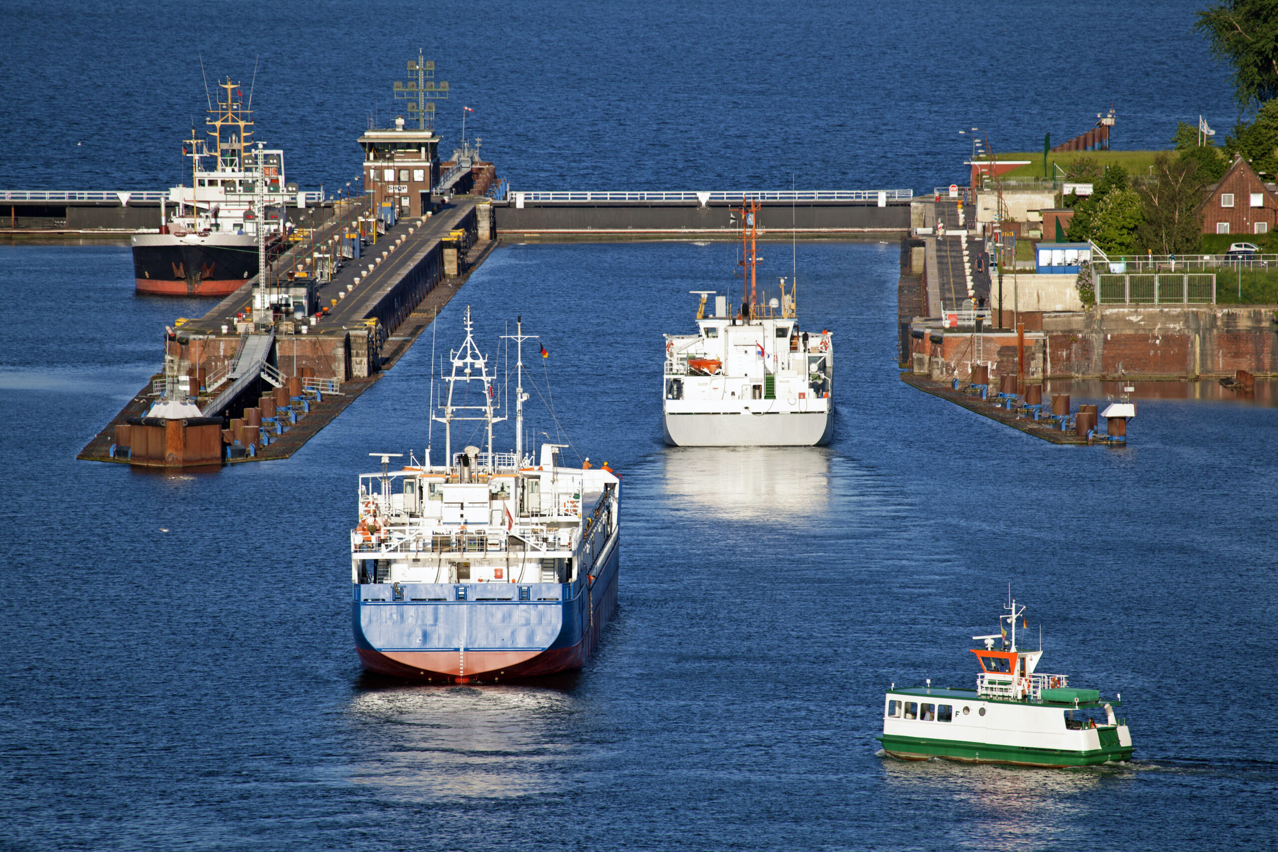 AdlerI_NOK©shutterstock_Ralf Gosch