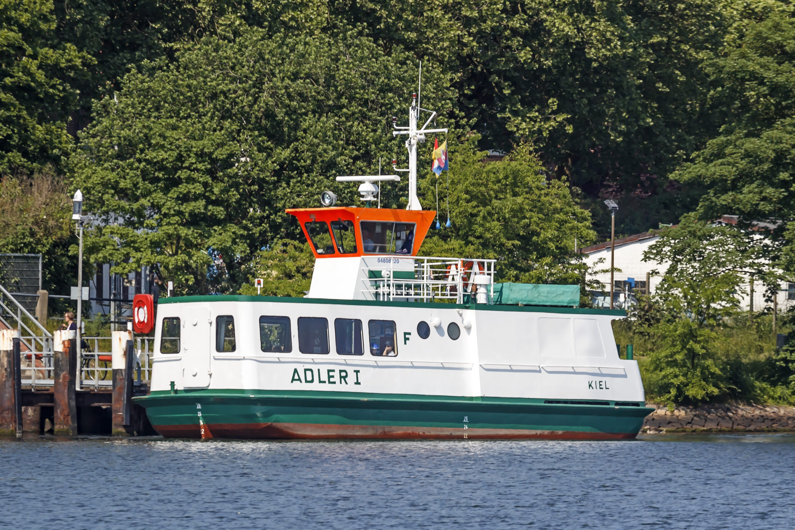Adler_I©TimWagner_IMG_8872