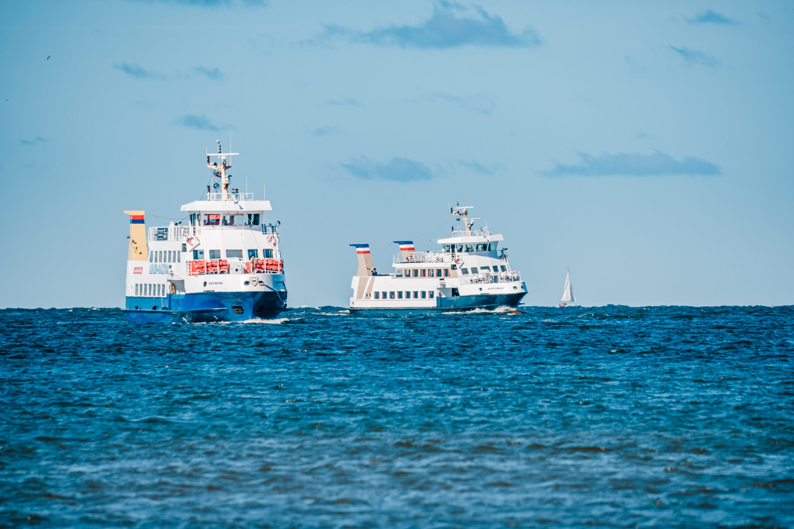 MB304934_adler_baltica_nordica
