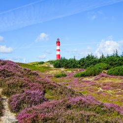 Leuchtturm auf Amrum als Ausflugsziel auf der Nordseeinsel