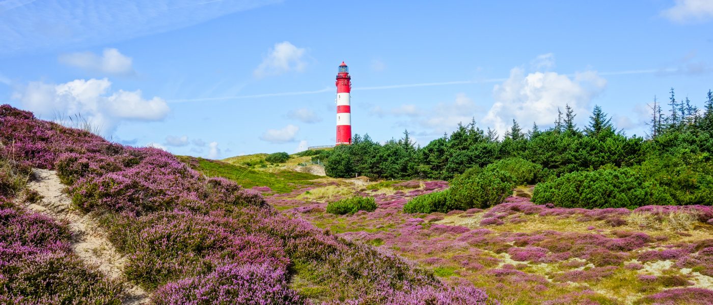 Leuchtturm auf Amrum als Ausflugsziel auf der Nordseeinsel