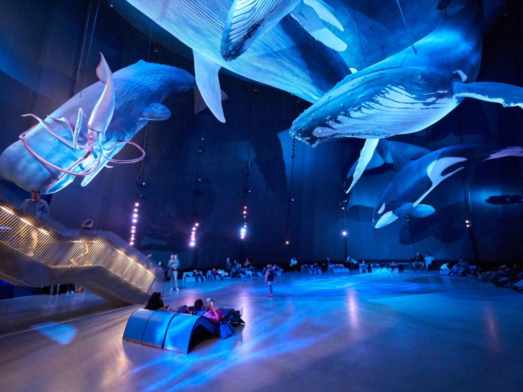 Ozeaneum_DSC1694-scaled