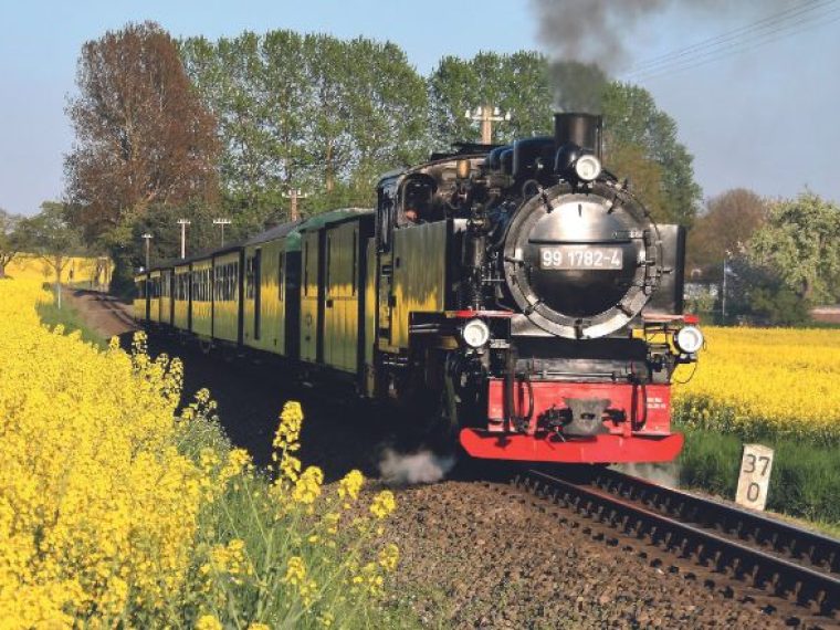 adler-schiffe-ruegen-rasender-roland