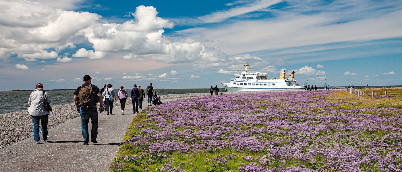 MS Adler V am Anleger der Hallig Gröde