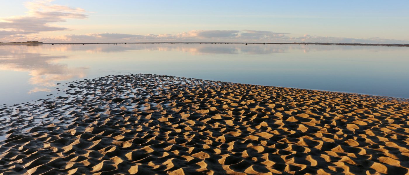 Herbstlicher Blick über das Wattenmeer bei Utersum auf Föhr