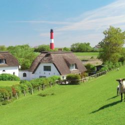 Nordseedeich auf der Insel Pellworm